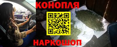 гидра Малгобек