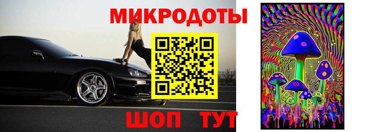 Псилоцибиновые грибы Psilocybe Дубна